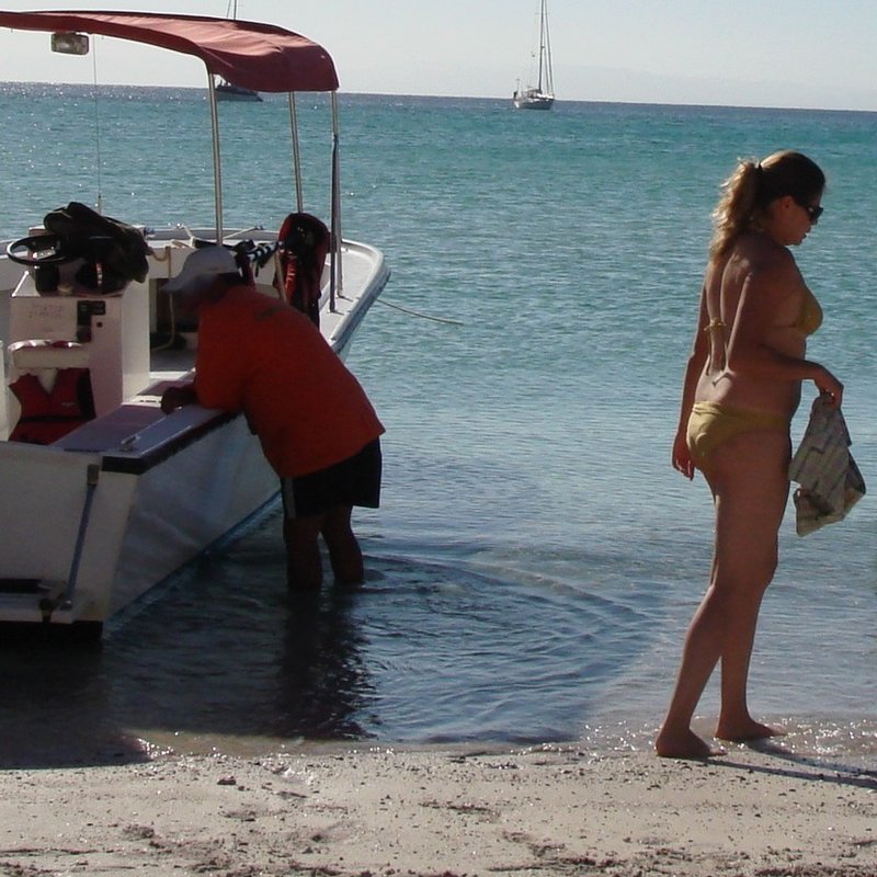 Image de Le Plan Olive